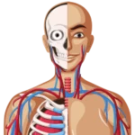 anatomy guide android application logo